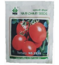 Tomato NS 2535